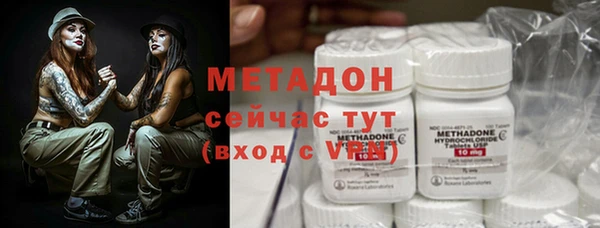 ГАЛЛЮЦИНОГЕННЫЕ ГРИБЫ Инсар