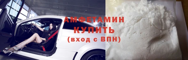 ГАЛЛЮЦИНОГЕННЫЕ ГРИБЫ Инсар