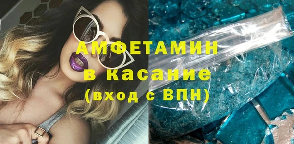 ГАЛЛЮЦИНОГЕННЫЕ ГРИБЫ Инсар