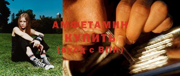 ГАЛЛЮЦИНОГЕННЫЕ ГРИБЫ Инсар