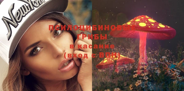 ГАЛЛЮЦИНОГЕННЫЕ ГРИБЫ Инсар