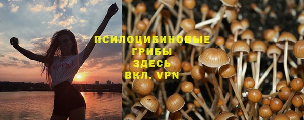 ГАЛЛЮЦИНОГЕННЫЕ ГРИБЫ Инсар