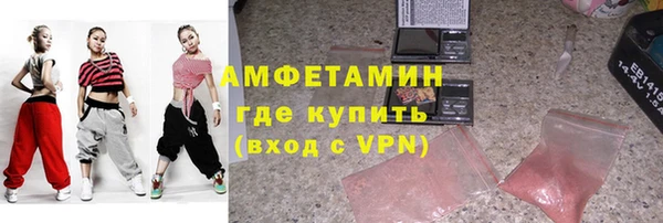 ГАЛЛЮЦИНОГЕННЫЕ ГРИБЫ Инсар