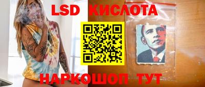 ПСИЛОЦИБИНОВЫЕ ГРИБЫ Кулебаки