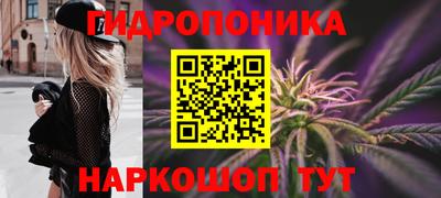 ПСИЛОЦИБИНОВЫЕ ГРИБЫ Кулебаки